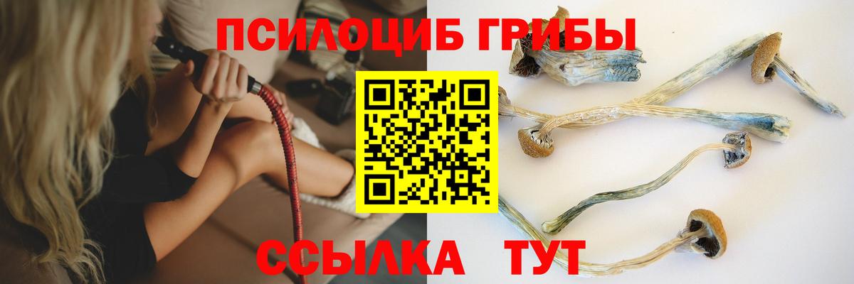 Галлюциногенные грибы прущие грибы  Вход с VPN  Кинель 